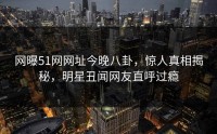 网曝51网网址今晚八卦，惊人真相揭秘，明星丑闻网友直呼过瘾