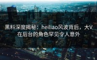 黑料深度揭秘：heiliao风波背后，大V在后台的角色罕见令人意外