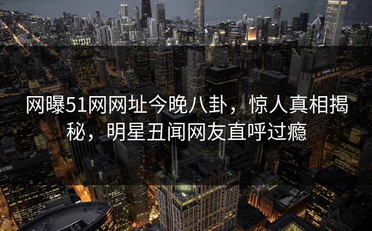 网曝51网网址今晚八卦，惊人真相揭秘，明星丑闻网友直呼过瘾